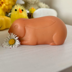 Yellow Door - Zvieratká priatelia