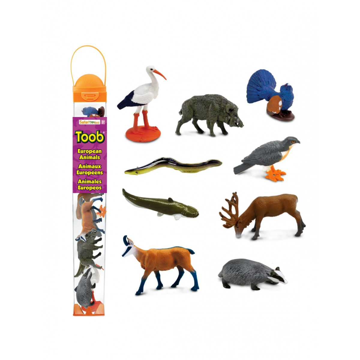 Tuba - Zvieratá Európa