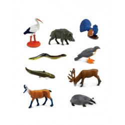 Tuba - Zvieratá Európa