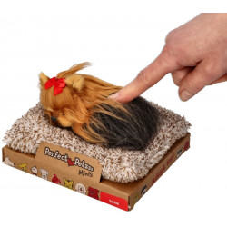 Mini yorkshirský teriér