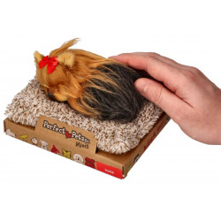 Mini yorkshirský teriér