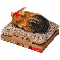 Mini yorkshirský teriér