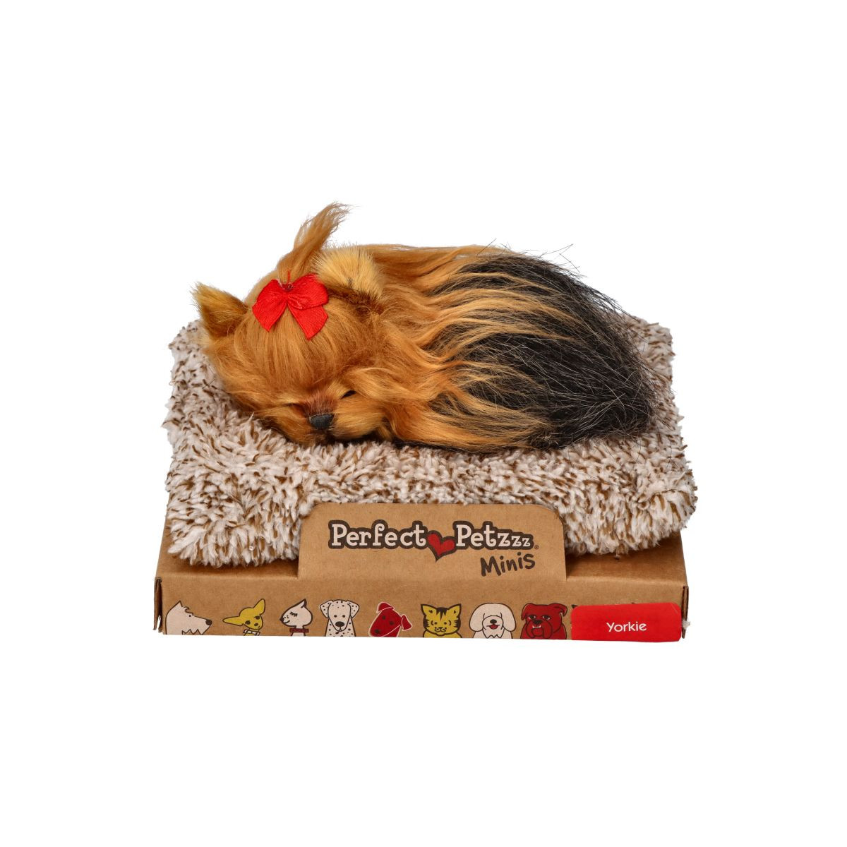 Mini yorkshirský teriér