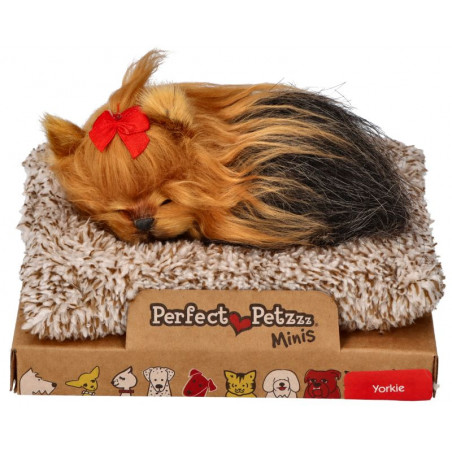 Mini yorkshirský teriér