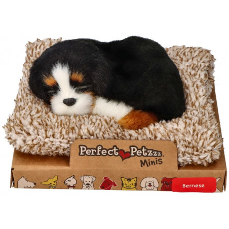 Mini bernardín