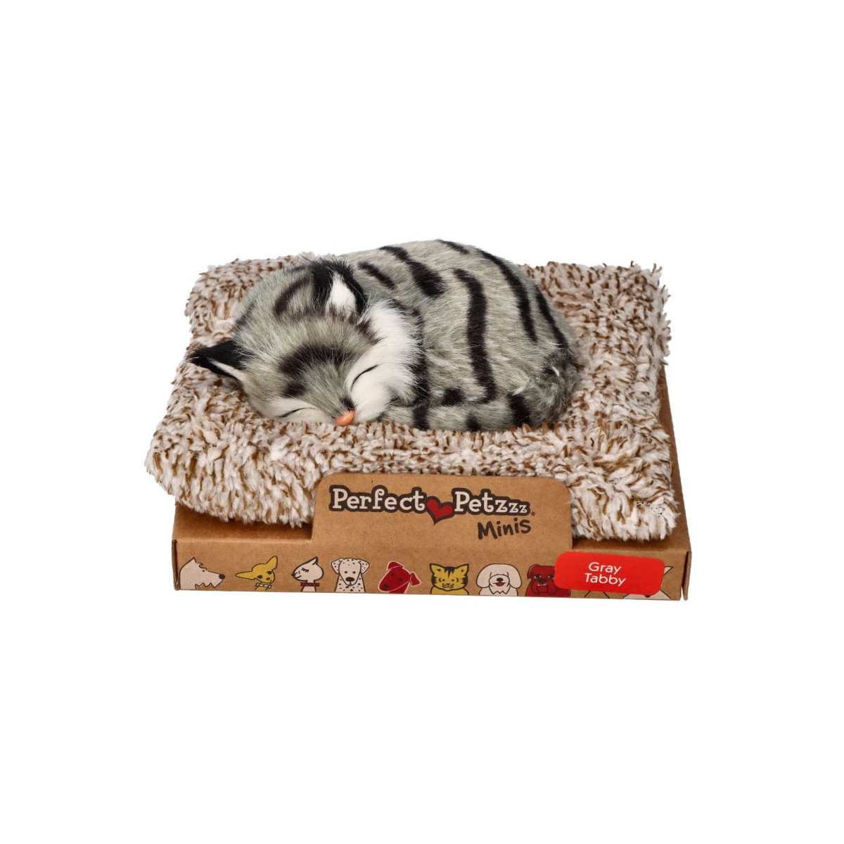 Mini sivé mramorované mačiatko