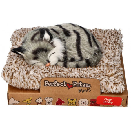 Mini sivé mramorované mačiatko