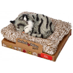 Mini sivé mramorované mačiatko