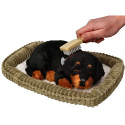 Dýchajúci psík - rotvajler