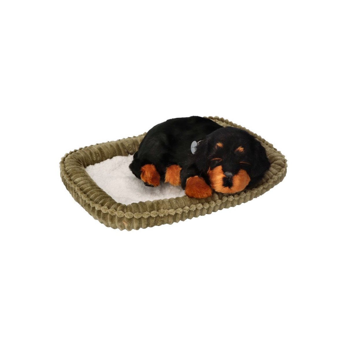 Dýchajúci psík - rotvajler