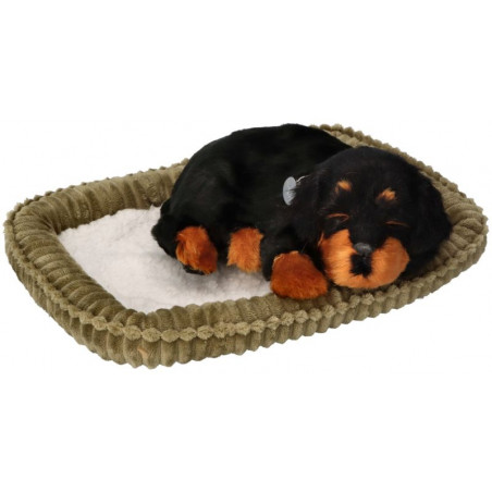 Dýchajúci psík - rotvajler