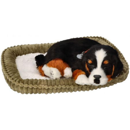 Dýchajúci psík - bernardín