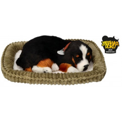 Dýchajúci psík - bernardín