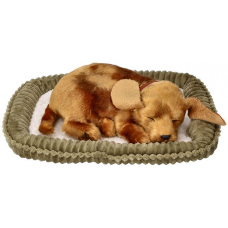 Dýchajúci psík - kríženec