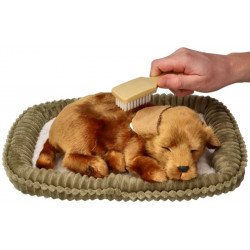 Dýchajúci psík - kríženec