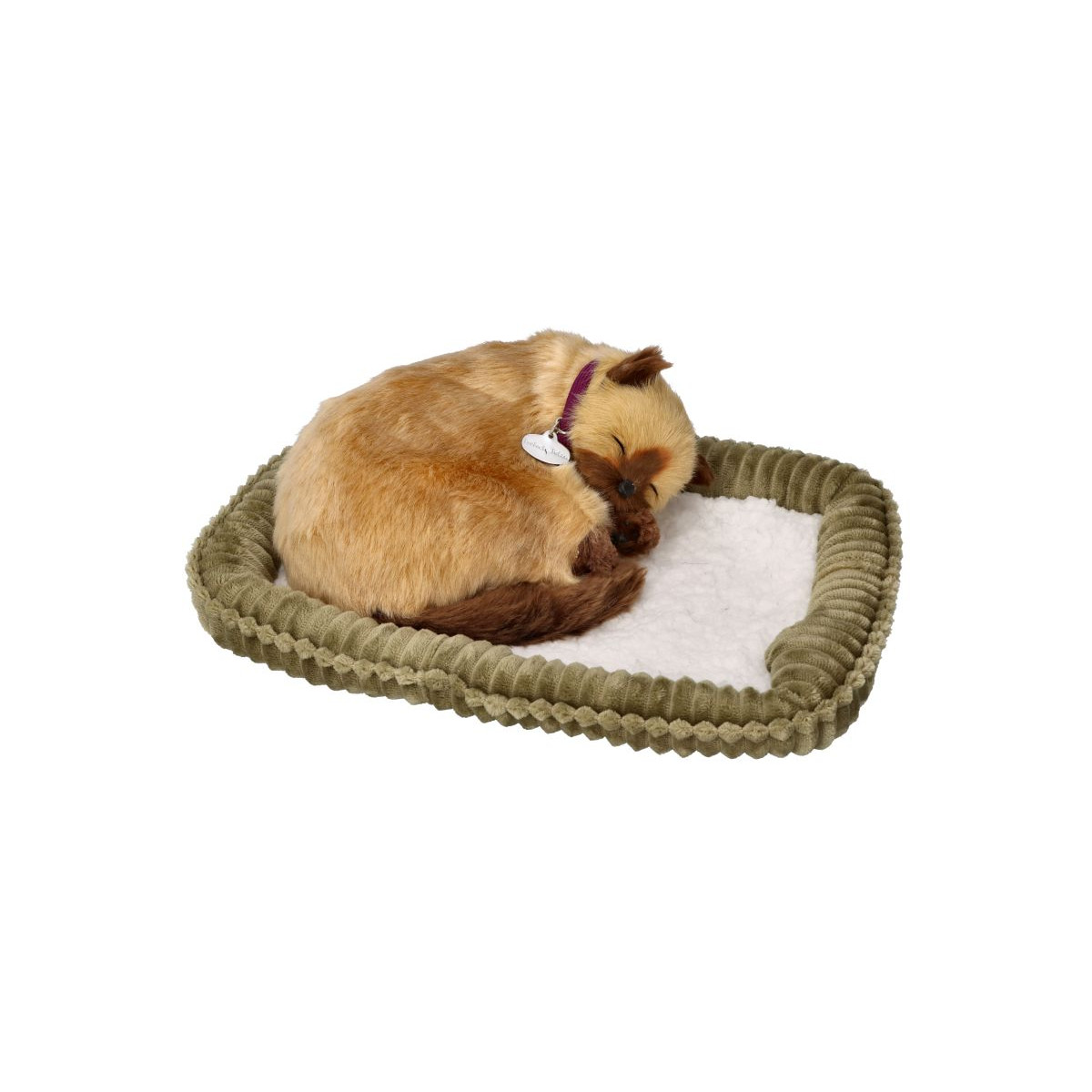 Dýchajúca mačička - siamská mačka