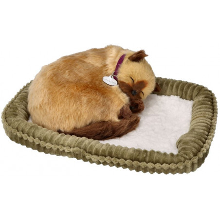 Dýchajúca mačička - siamská mačka