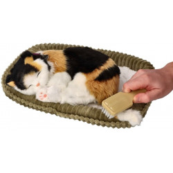 Dýchajúca mačička - calico mačka