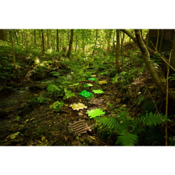 Set ortopedických podložiek - Dotyk prírody