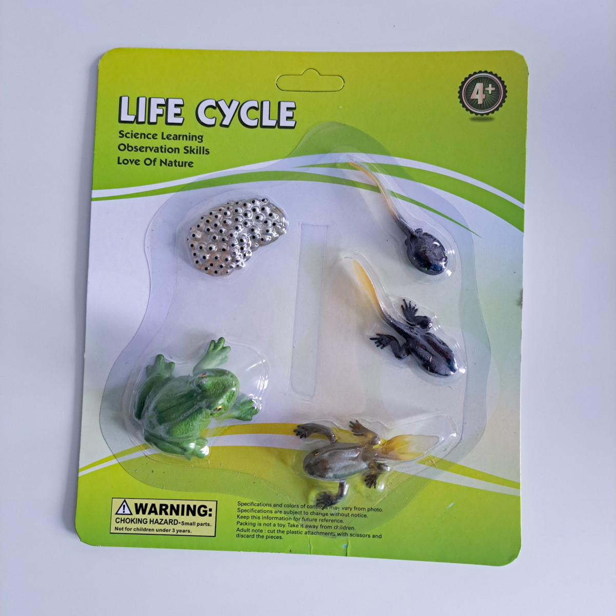 Životný cyklus - žaba