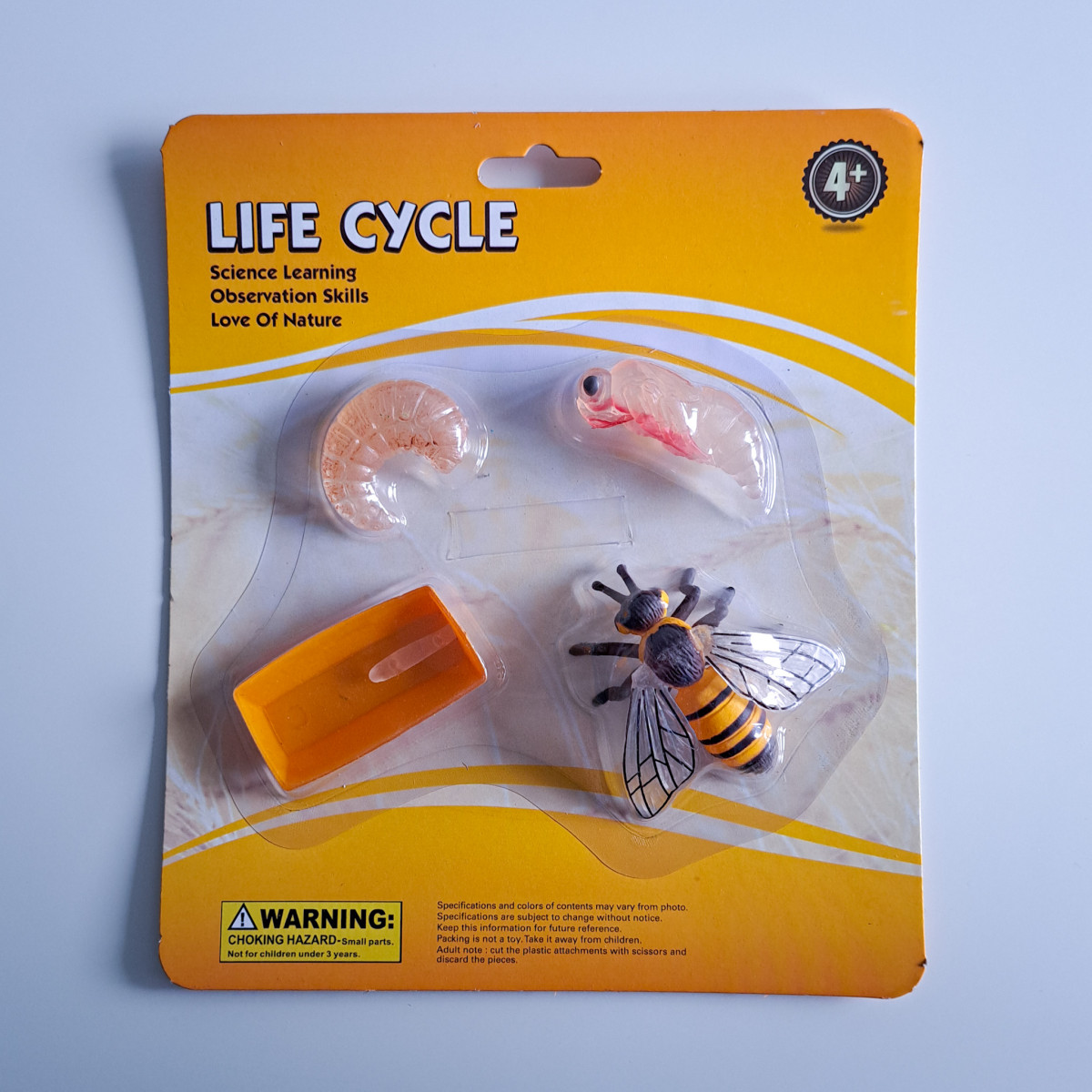 Životný cyklus - včela