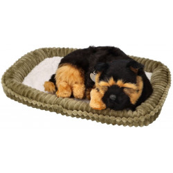 Dýchajúci psík - nemecký ovčiak